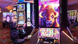 771bet