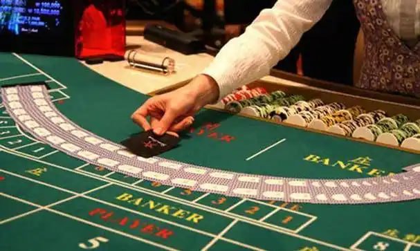 771bet